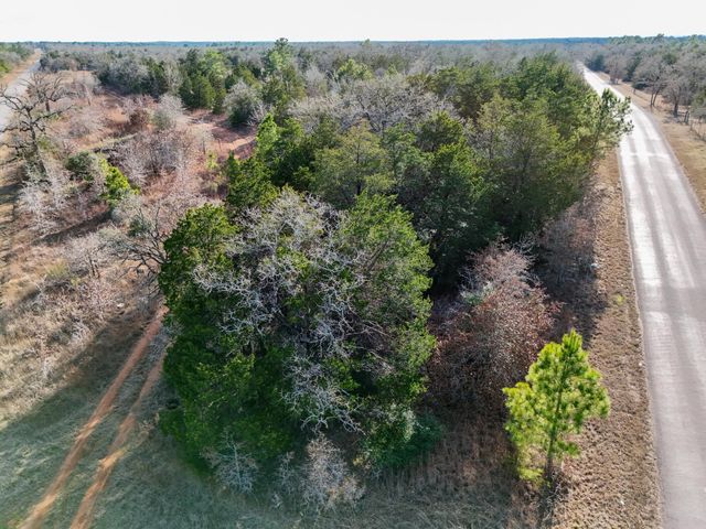 Lot 12 Antioch RD, Paige, TX 78659