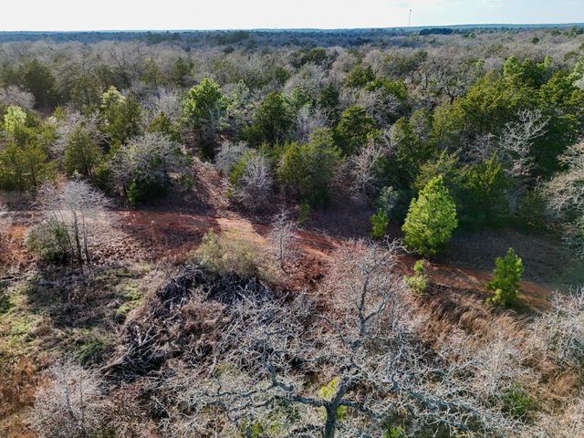 Lot 12 Antioch RD, Paige, TX 78659