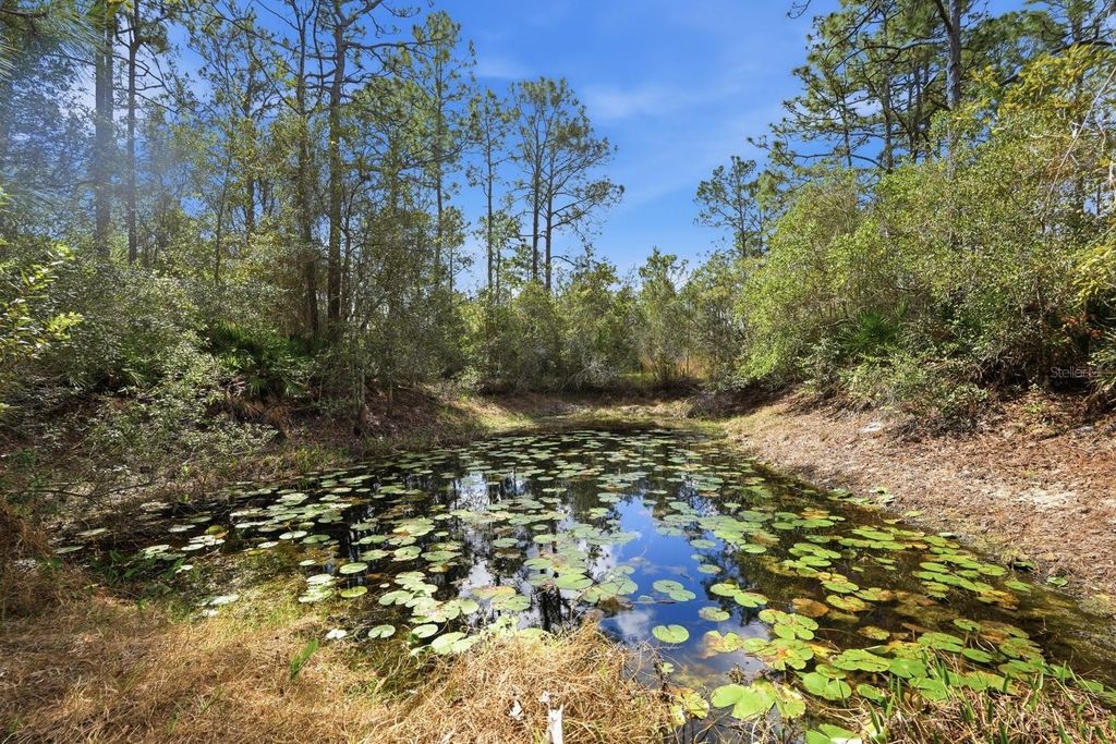 Image 28 of property listing at 158 CONE ROAD, Ormond Beach, FL 32174