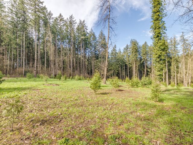 5801 Ne ABBEY Rd, Carlton, OR 97111