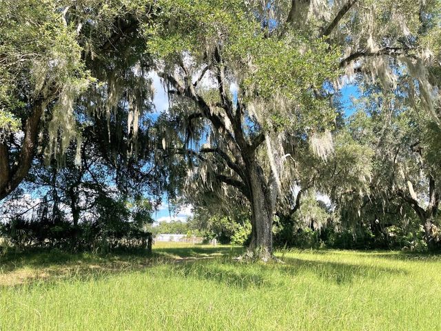 11804 SE COUNTY ROAD 234, Micanopy, FL 32667
