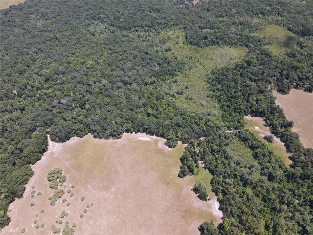 11804 SE COUNTY ROAD 234, Micanopy, FL 32667