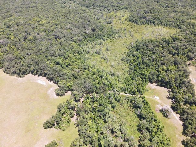 11804 SE COUNTY ROAD 234, Micanopy, FL 32667