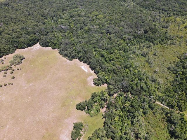 11804 SE COUNTY ROAD 234, Micanopy, FL 32667