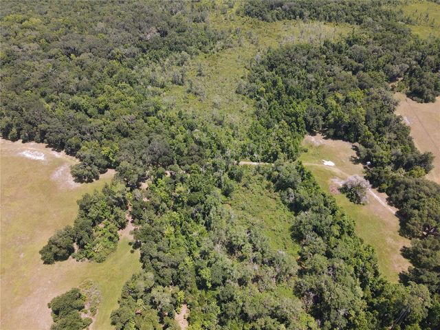 11804 SE COUNTY ROAD 234, Micanopy, FL 32667