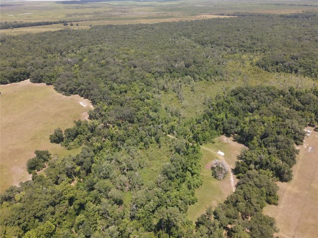 11804 SE COUNTY ROAD 234, Micanopy, FL 32667
