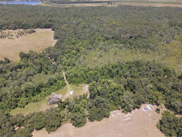 11804 SE COUNTY ROAD 234, Micanopy, FL 32667