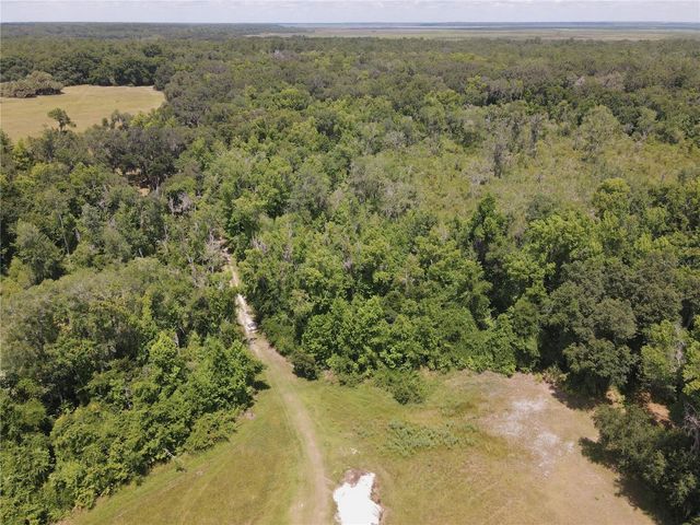11804 SE COUNTY ROAD 234, Micanopy, FL 32667