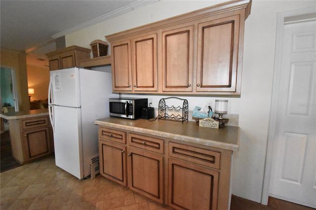 11804 SE COUNTY ROAD 234, Micanopy, FL 32667
