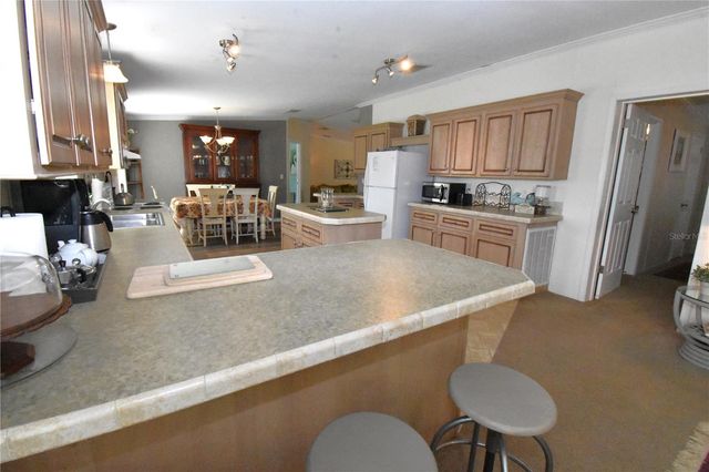 11804 SE COUNTY ROAD 234, Micanopy, FL 32667