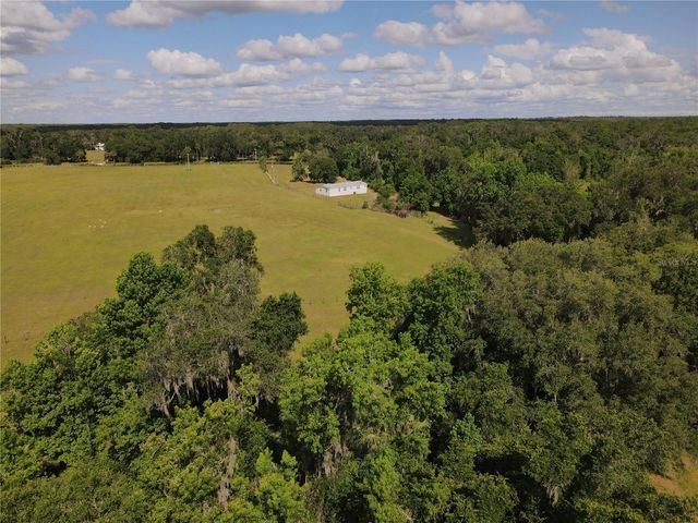11804 SE COUNTY ROAD 234, Micanopy, FL 32667