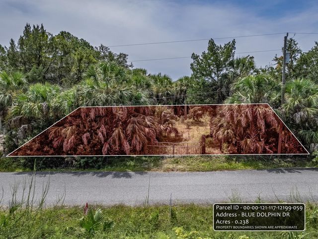 xx Blue Dolphin Drive, Crawfordville, FL 32327