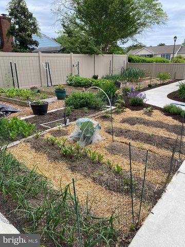 16872 LANCASTER RD, Lewes, DE 19958