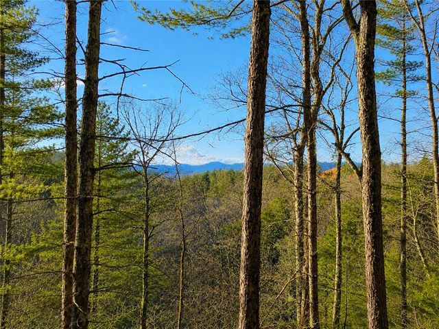 LT1249 Fugue Drive, Ellijay, GA 30540
