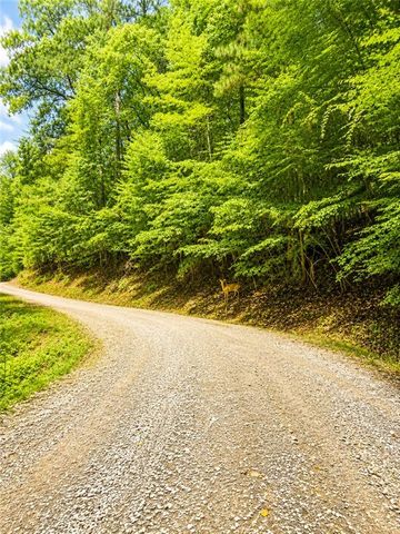 LT1249 Fugue Drive, Ellijay, GA 30540