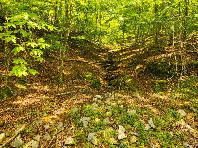 LT1249 Fugue Drive, Ellijay, GA 30540