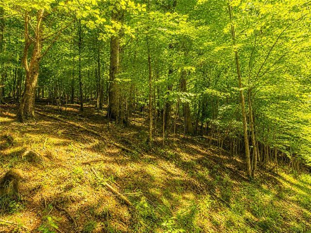 LT1249 Fugue Drive, Ellijay, GA 30540