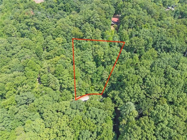LT1249 Fugue Drive, Ellijay, GA 30540