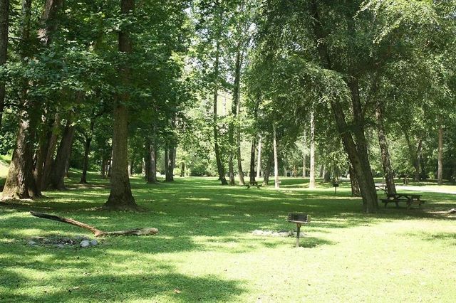 LT1249 Fugue Drive, Ellijay, GA 30540