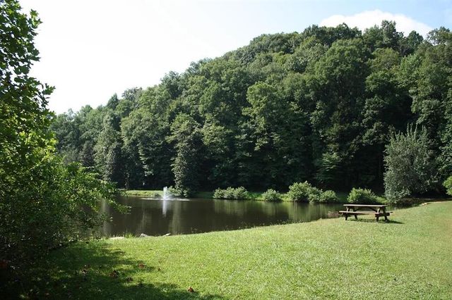 LT1249 Fugue Drive, Ellijay, GA 30540