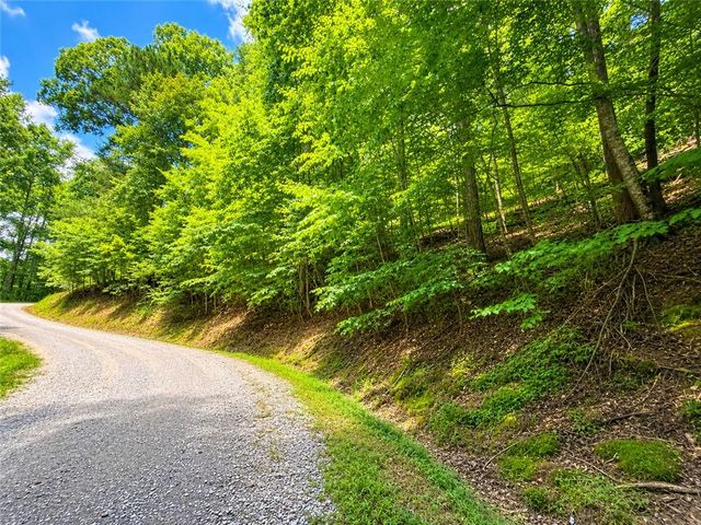 LT1249 Fugue Drive, Ellijay, GA 30540