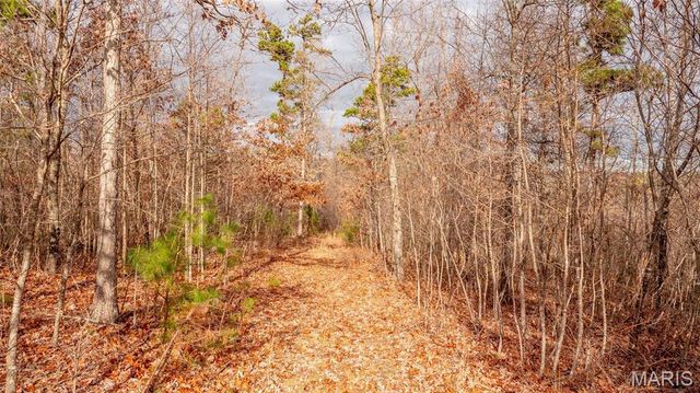 0 Vista Knoll Drive, Potosi, MO 63664