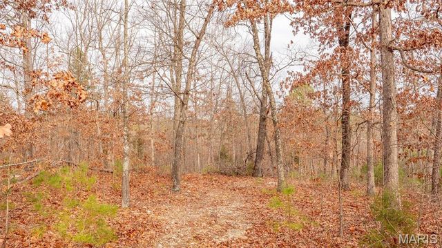 0 Vista Knoll Drive, Potosi, MO 63664