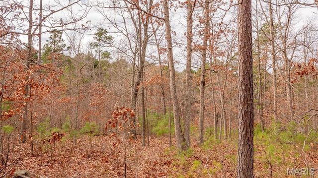 0 Vista Knoll Drive, Potosi, MO 63664