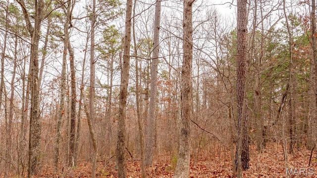 0 Vista Knoll Drive, Potosi, MO 63664