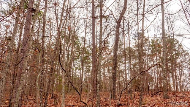 0 Vista Knoll Drive, Potosi, MO 63664