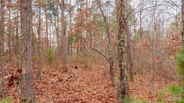 0 Vista Knoll Drive, Potosi, MO 63664