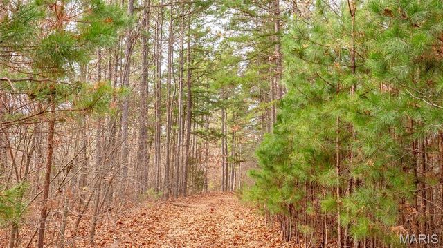 0 Vista Knoll Drive, Potosi, MO 63664