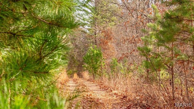 0 Vista Knoll Drive, Potosi, MO 63664