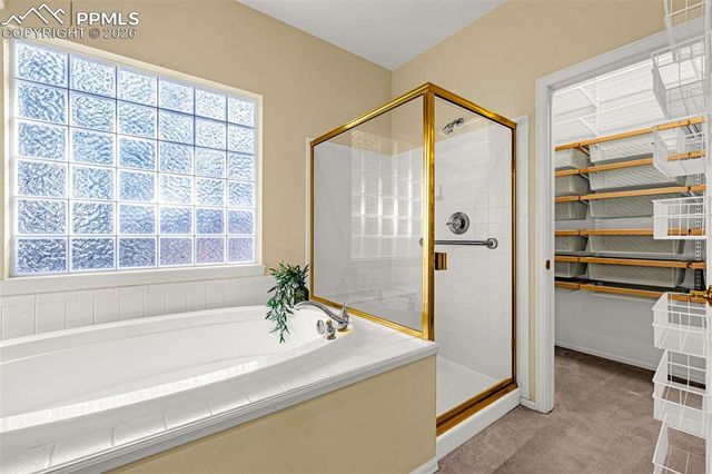 1669 Goldpeak Court, Colorado Springs, CO 80921