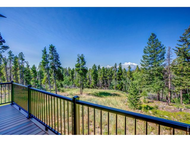 5431 Storm Mountain Dr, Drake, CO 80515