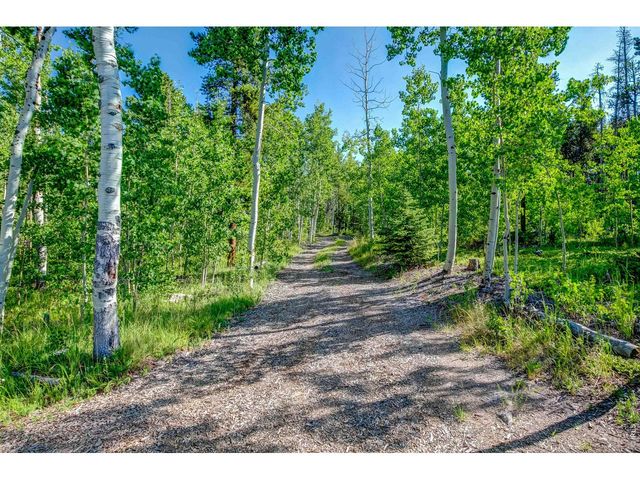 5431 Storm Mountain Dr, Drake, CO 80515
