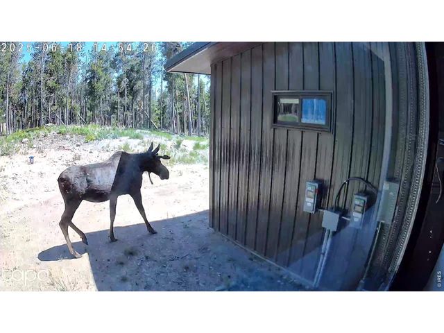 5431 Storm Mountain Dr, Drake, CO 80515