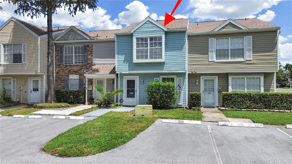 16191 RAMBLING VINE DRIVE E, Tampa, FL 33624