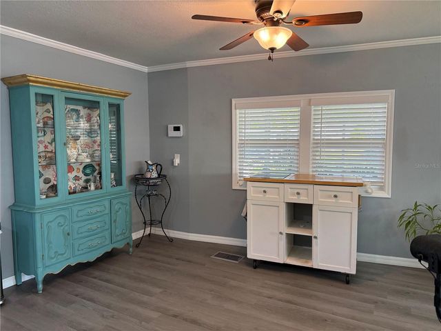 100 PAPAYA COVE, Leesburg, FL 34748