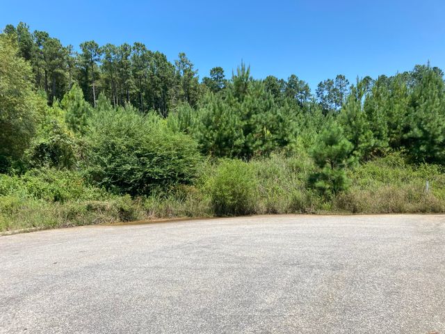 2360 Presidio Drive, Sumter, SC 29154