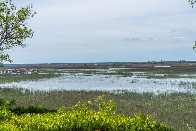 12 Marsh Island Lane, Isle Of Palms, SC 29451