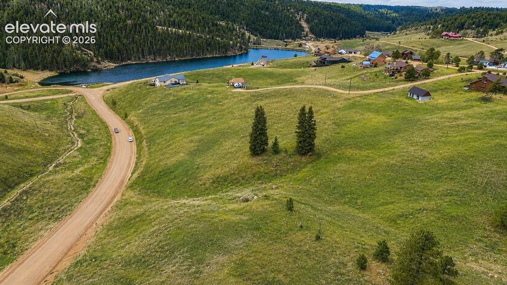175 Twin Lakes Drive, Divide, CO 80814 — exterior