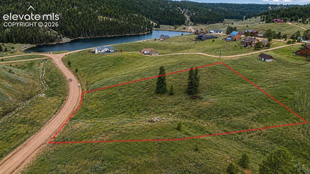 175 Twin Lakes Drive, Divide, CO 80814 — photo 2