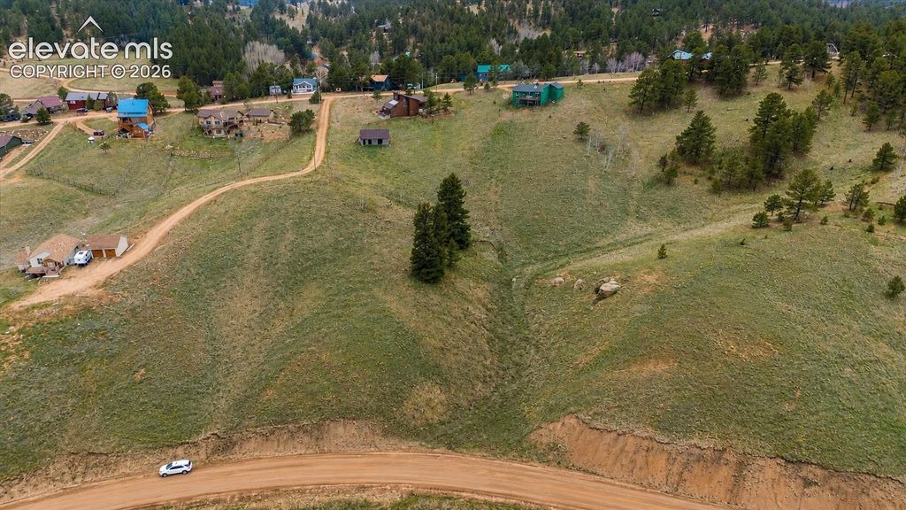 175 Twin Lakes Drive, Divide, CO 80814 — photo 3
