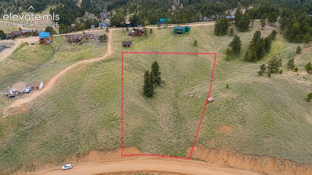 175 Twin Lakes Drive, Divide, CO 80814 — photo 4