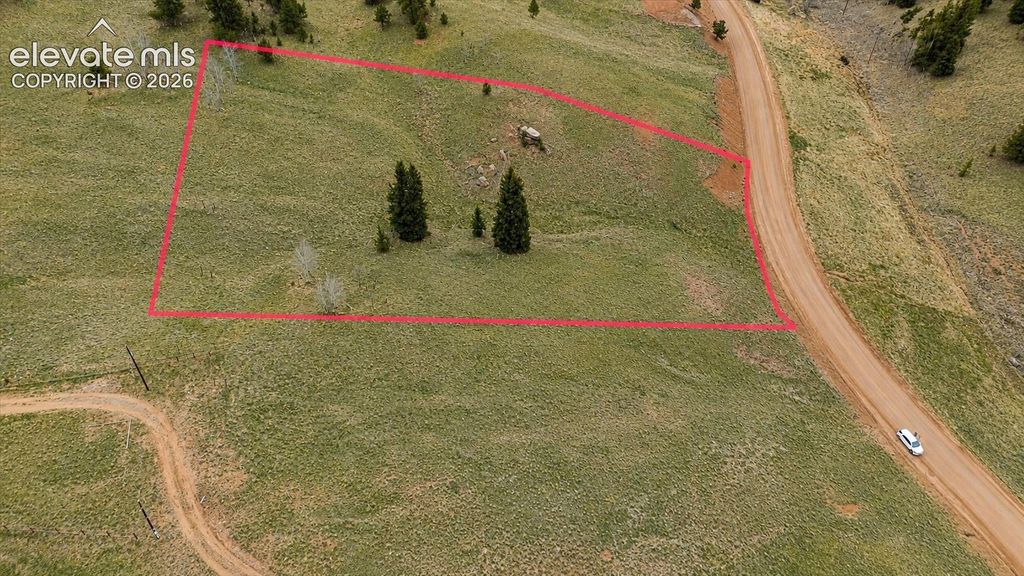 175 Twin Lakes Drive, Divide, CO 80814 — photo 5
