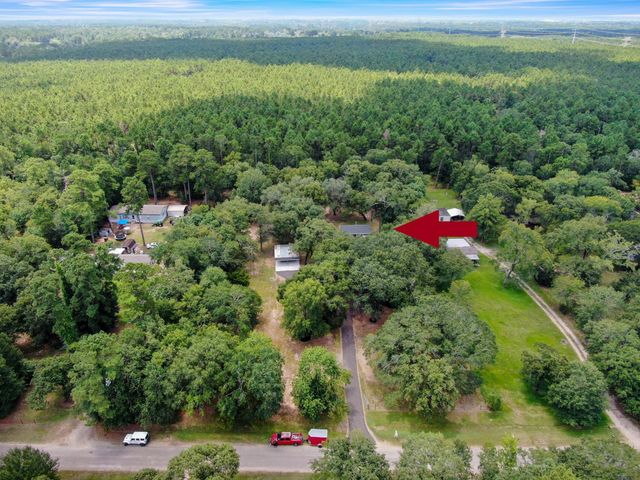 25483 Brushy Creek Drive, Hockley, TX 77447