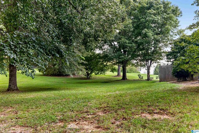 27 CHELSEA VILLAGE CIRCLE, Chelsea, AL 35043