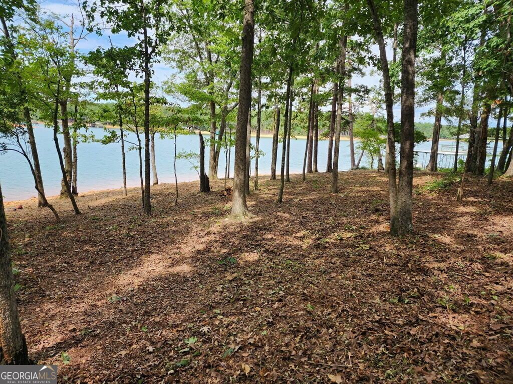 LOT 1 Sidney Point Drive, Hartwell, GA 30643 — exterior