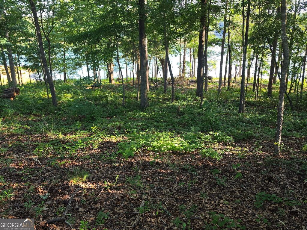 LOT 1 Sidney Point Drive, Hartwell, GA 30643 — photo 2